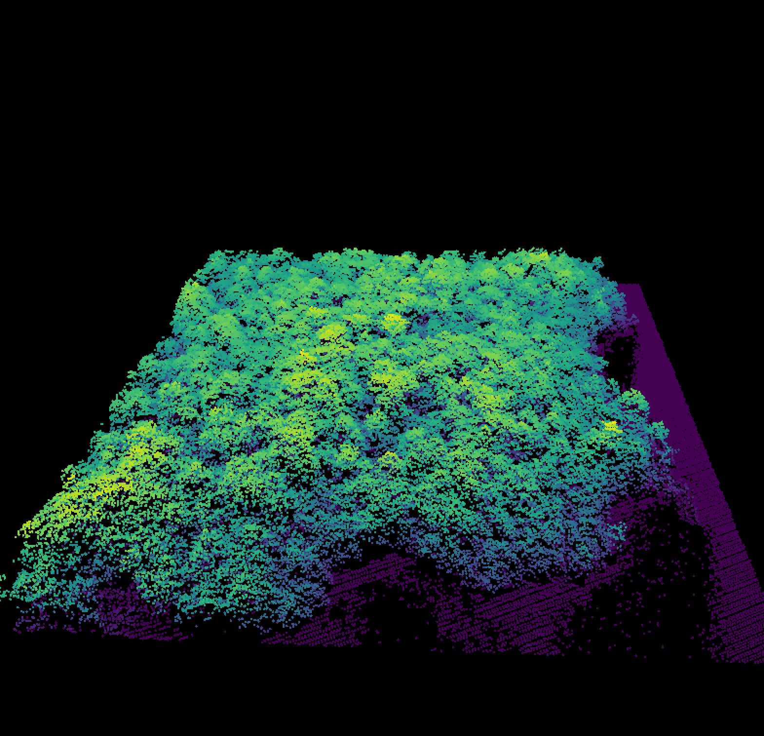 unsplash random image