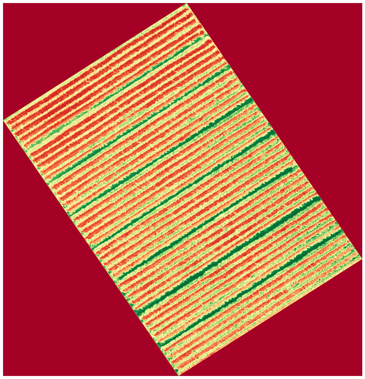 unsplash random image