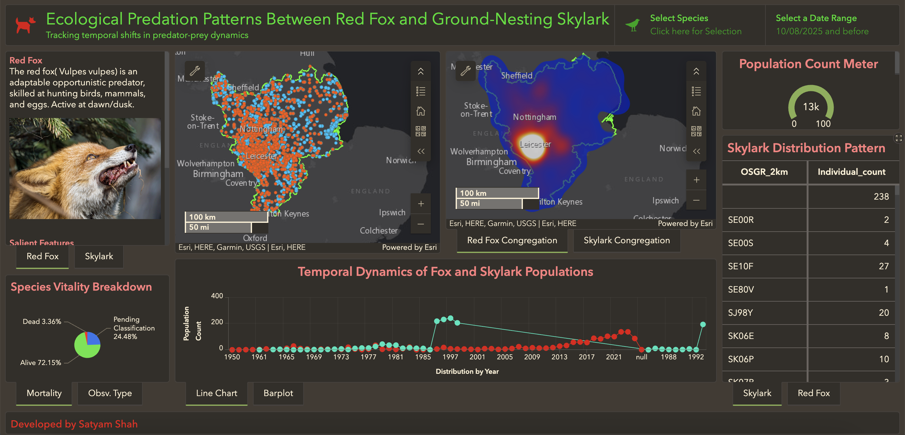 unsplash random image