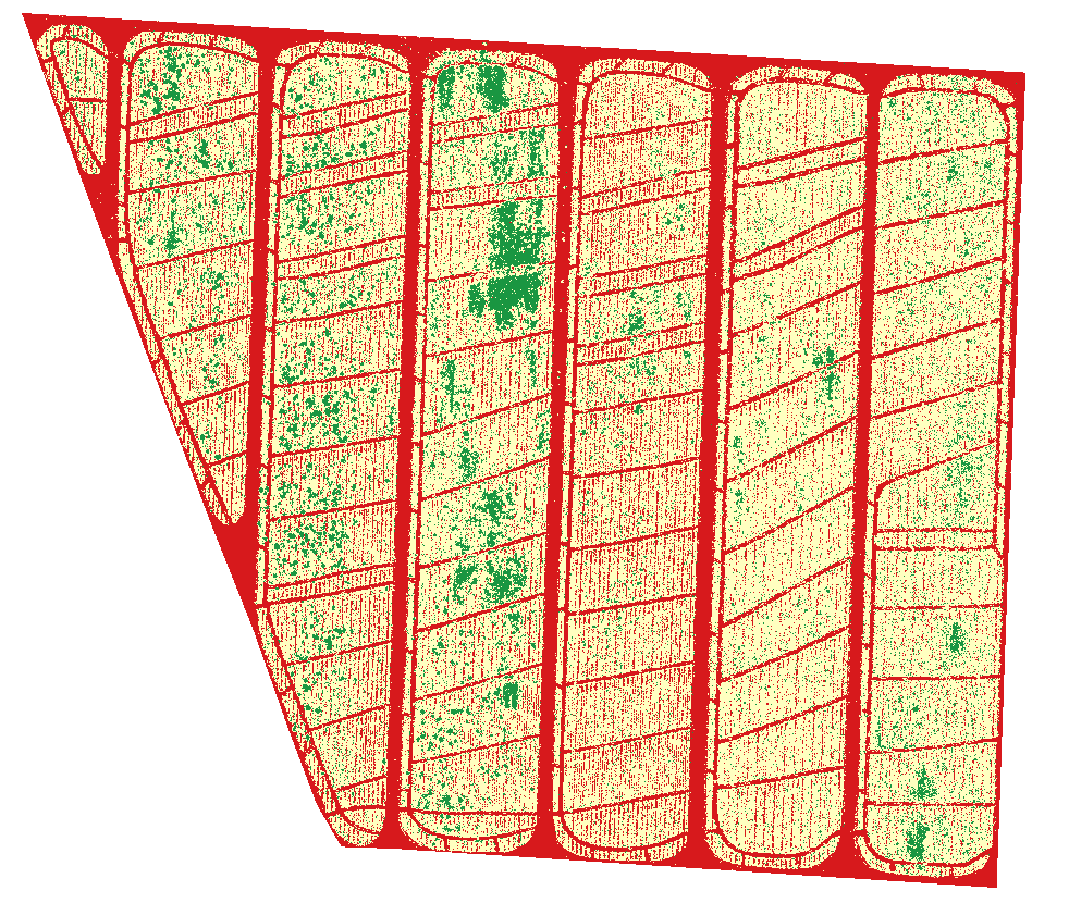 unsplash random image