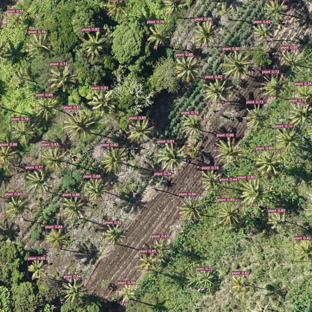 unsplash random image