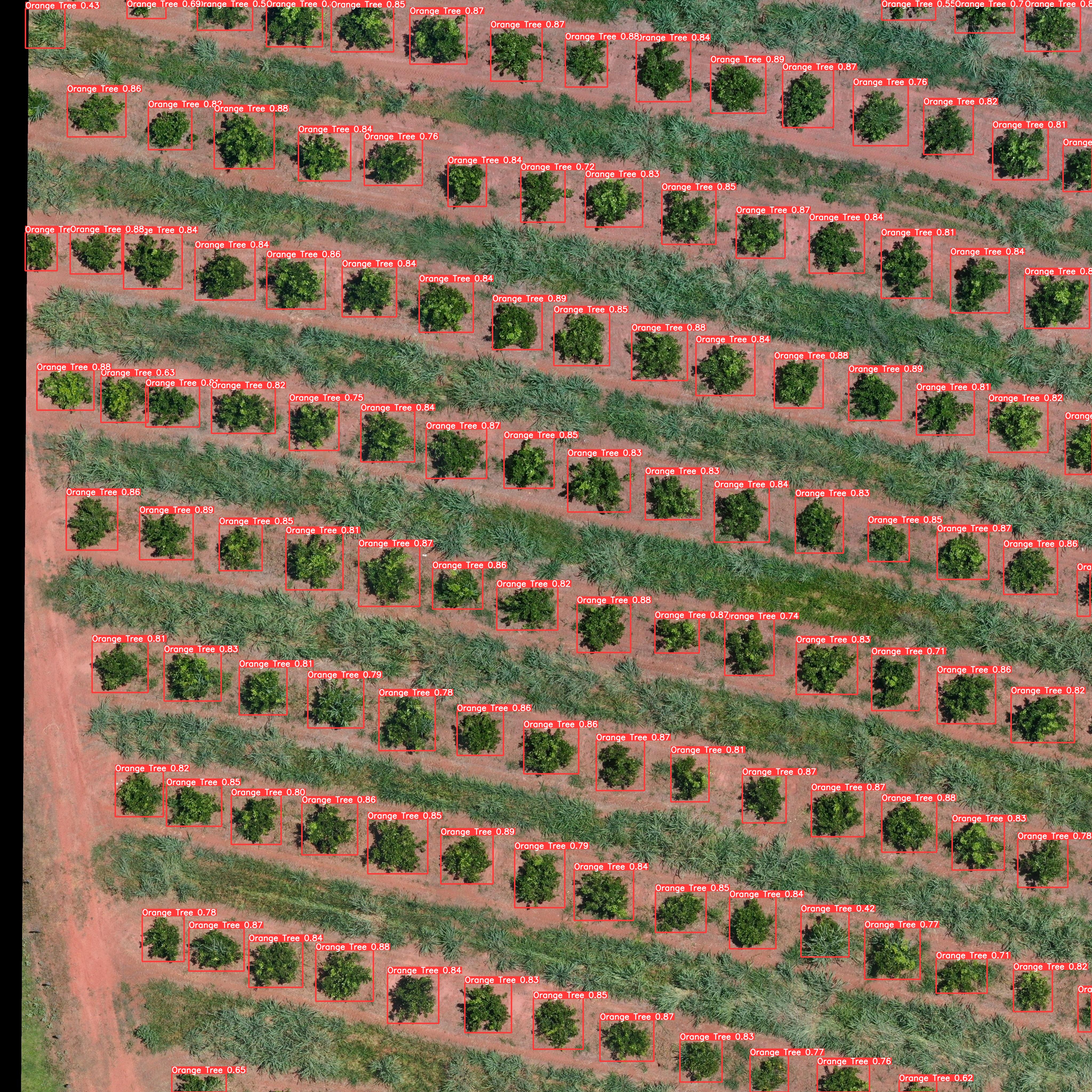 unsplash random image