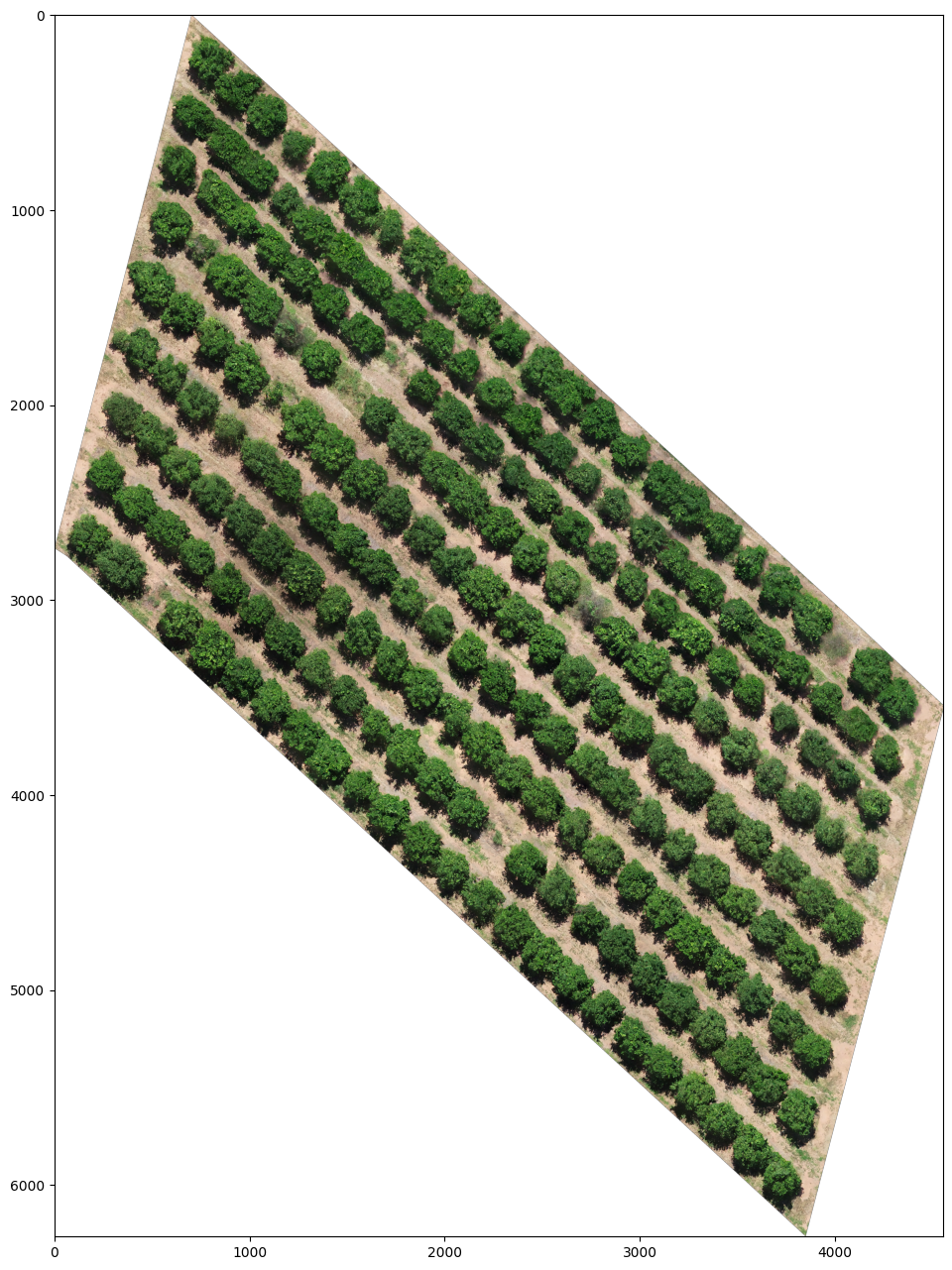 unsplash random image