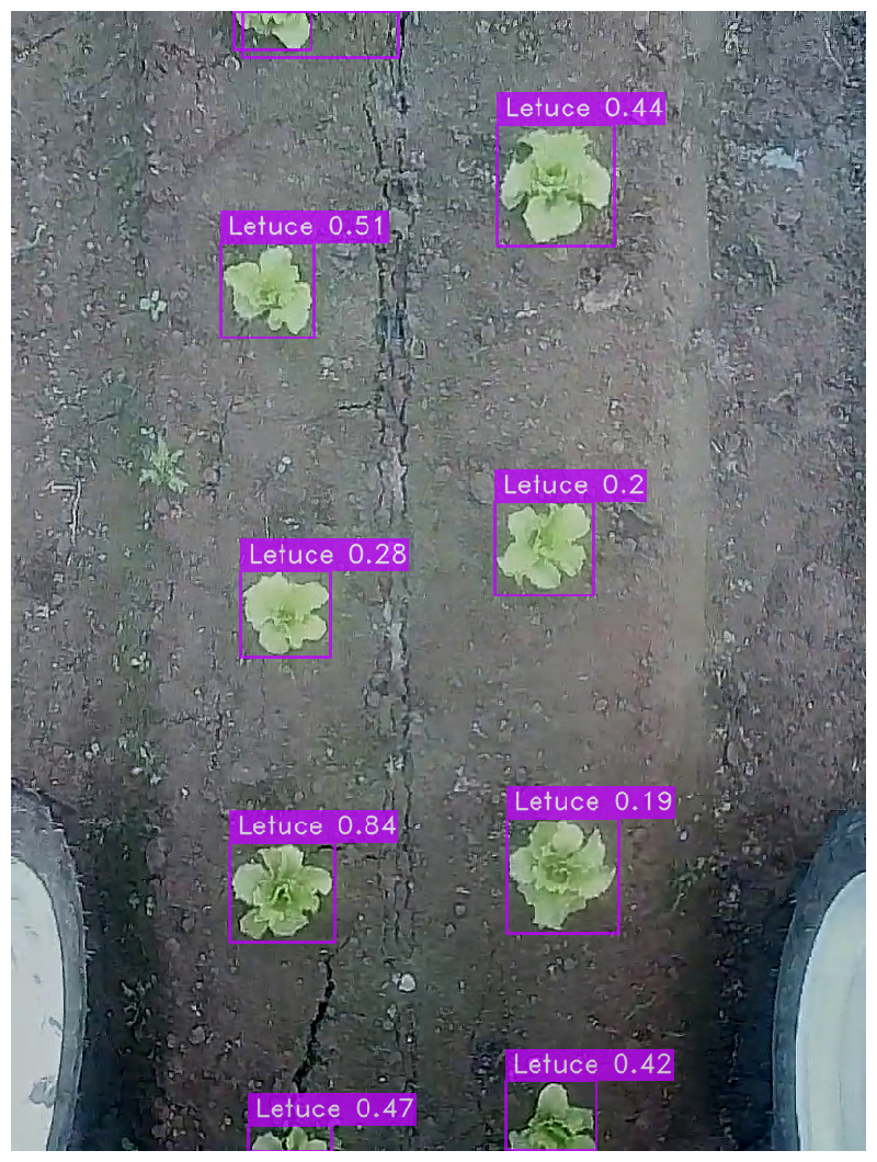 unsplash random image