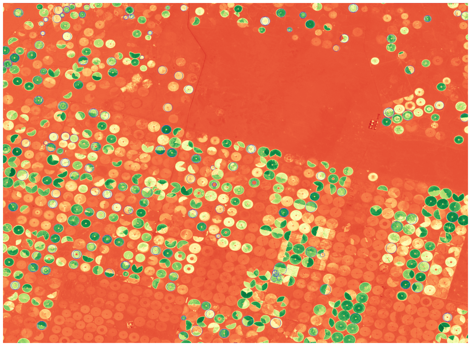 unsplash random image