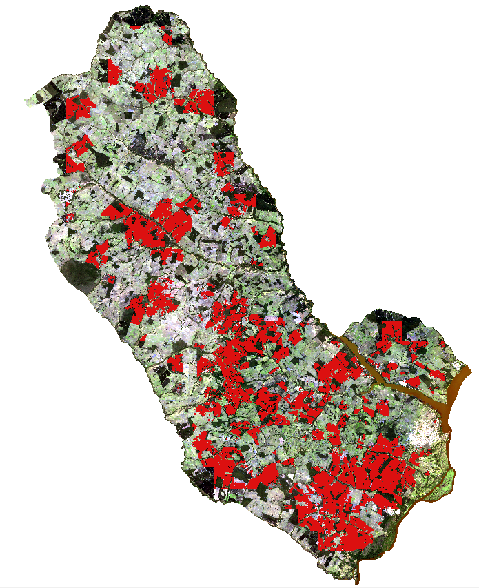 unsplash random image