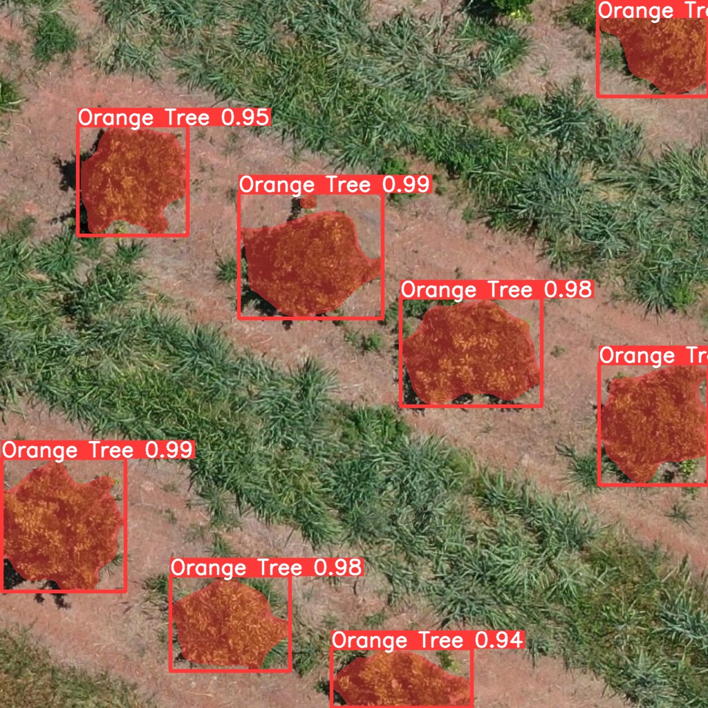 unsplash random image