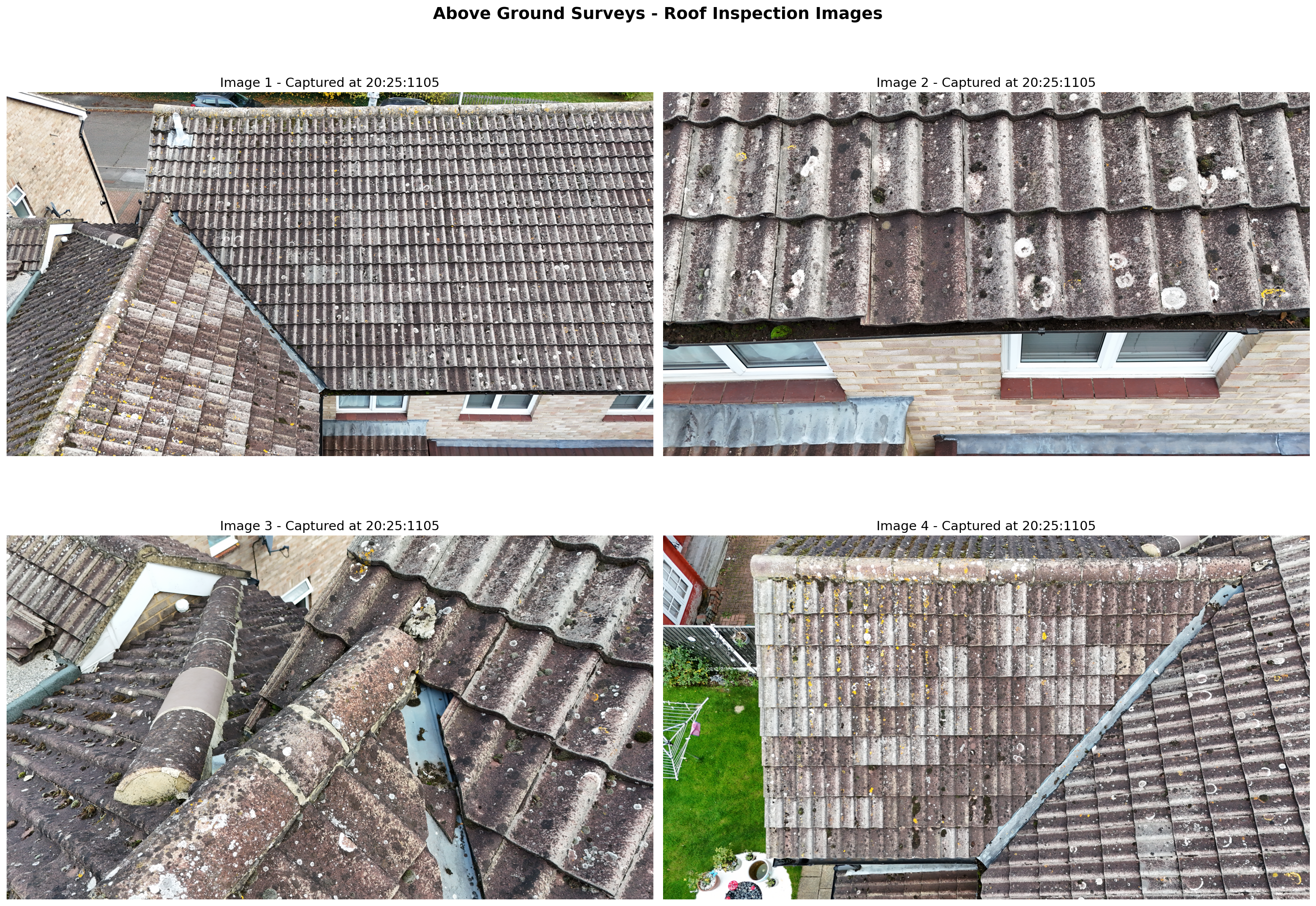 unsplash random image