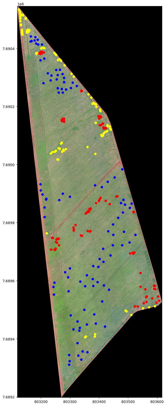 unsplash random image